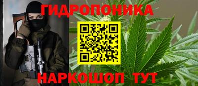 спайс Тара