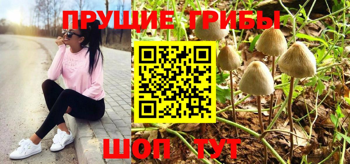 Гусь-Хрустальный  Псилоцибиновые грибы мицелий  Вход с VPN  Галлюциногенные грибы прущие грибы 