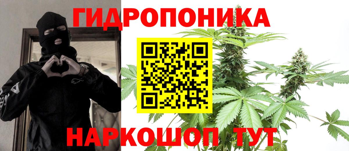 МАРИХУАНА White Widow Гусь-Хрустальный